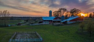 Moomers Farm Sunset