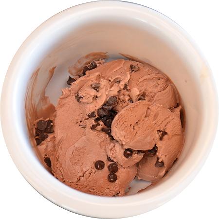 Chocolate Chocolate Chip Ice Cream