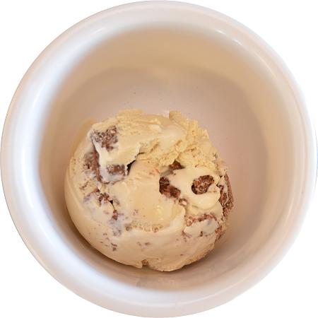 Peanut Butter No-Bake Ice Cream